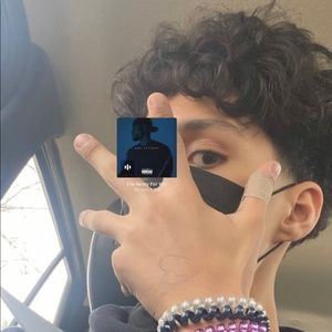 Meet your Posher, Max